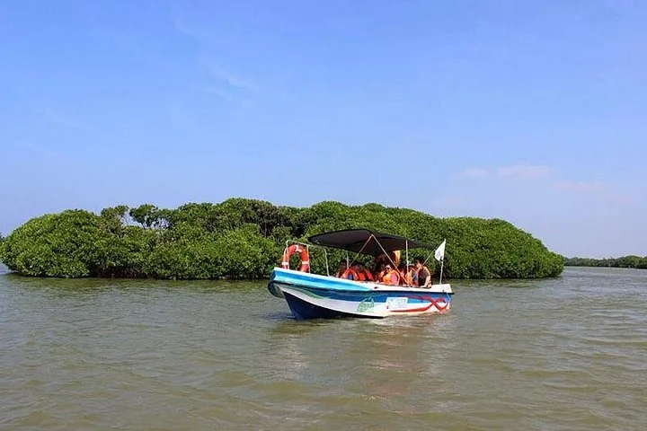 Turistas en una pequeña lancha motora navegando por una zona de humedales con manglares