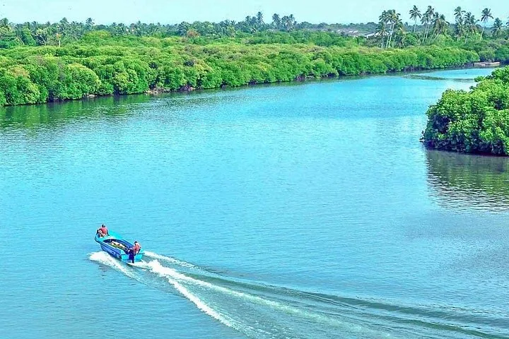 Ein kleines blaues Motorboot fährt auf einem breiten, von üppigen Mangroven gesäumten Fluss