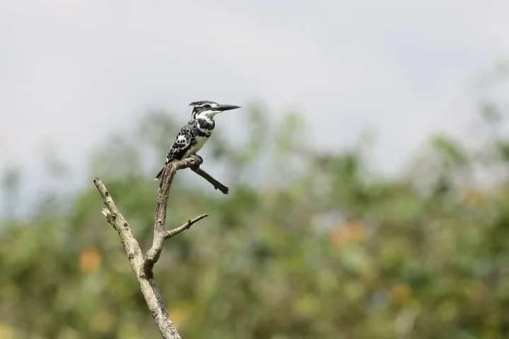 Foto del tour
